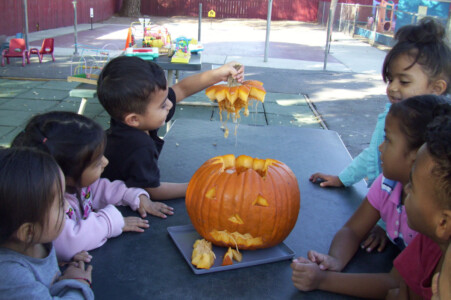 preschooler children carving a pumpkin